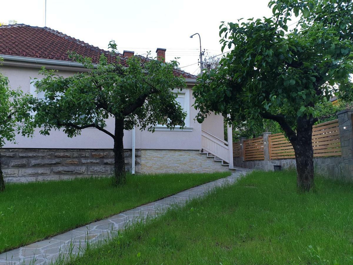 Appartement Kuca Badnjar Guča Extérieur photo